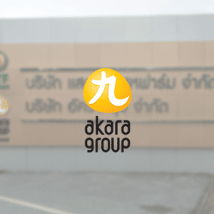 Akara group Akara group